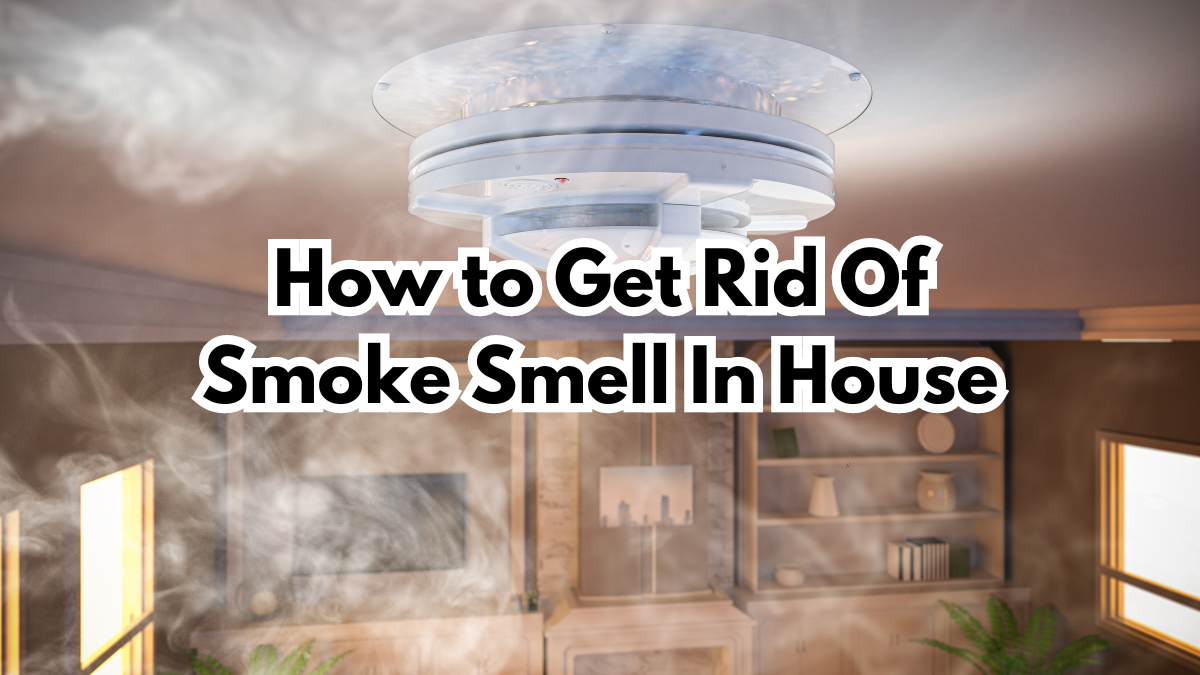 how-to-get-rid-of-smoke-smell-in-house-bluntpower-air-freshener