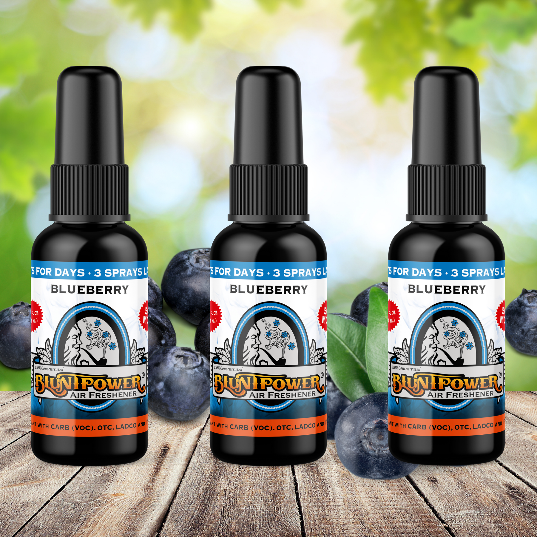 Blueberry Spray Air Freshener Bundle (3 Pack) - BluntPower Air Freshener