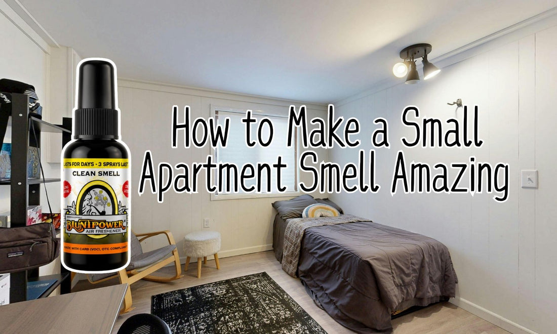 How to Make a Small Apartment Smell Amazing (Without Overwhelming the Space)