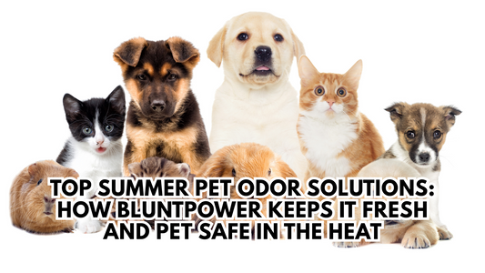 Pet Odor Solutions