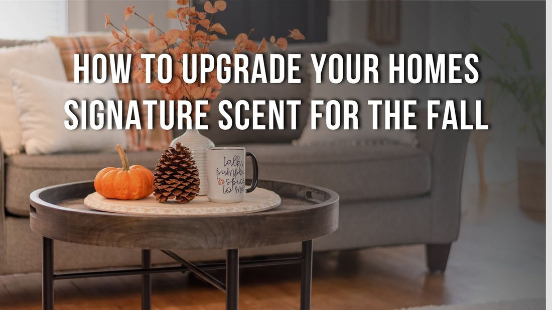 Summer to fall transition