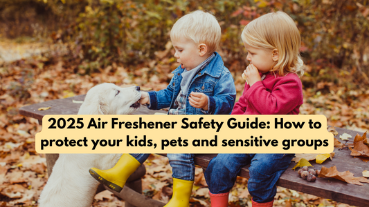 2025 Air Freshener Safety Guide: How to protect your kids, pets and sensitive groups