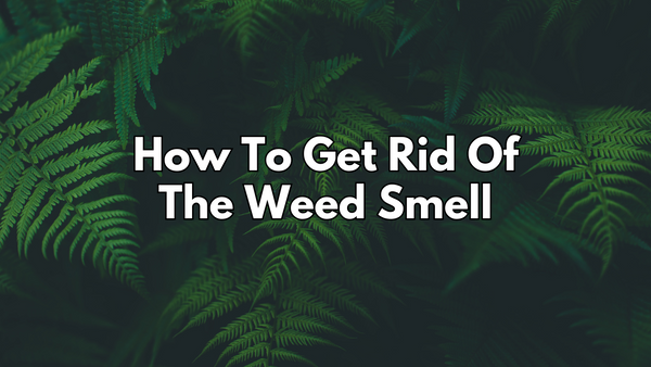 How To Get Rid Of The Weed Smell