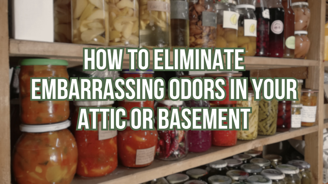 How To Eliminate Embarrassing Odors In Your Attic Or Basement