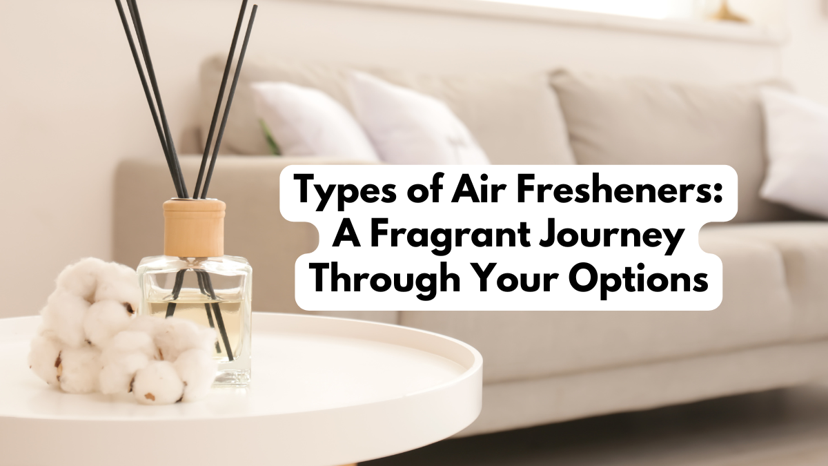 Types of Air Fresheners: A Fragrant Journey Through Your Options ...