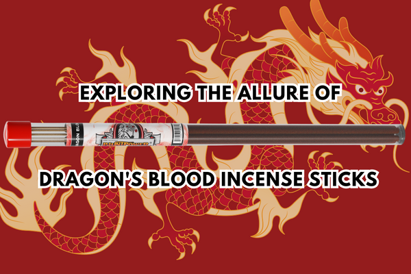 Exploring the Allure of Dragon's Blood Incense Sticks