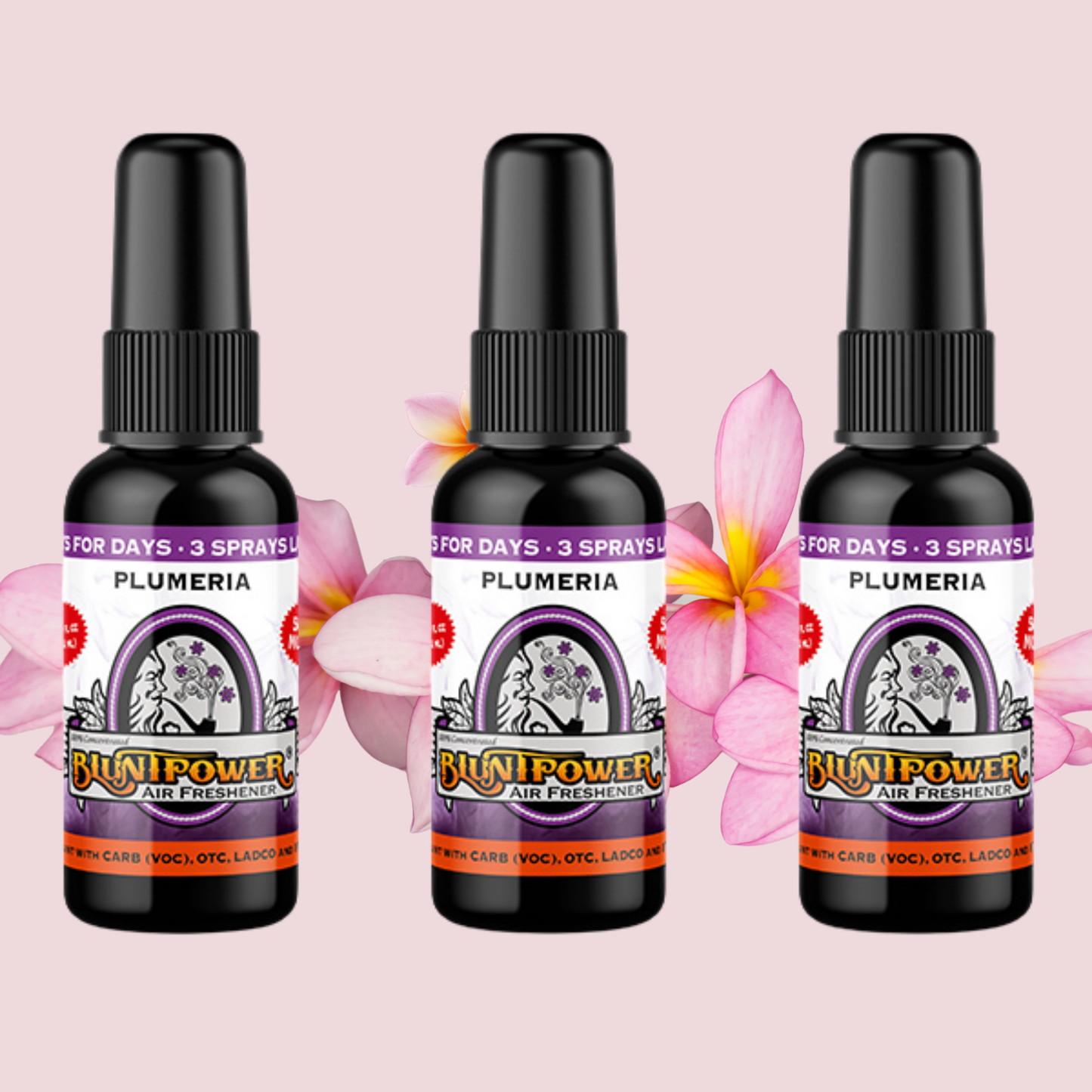 Plumeria Air Freshener Bundle (3 Pack) - BluntPower Air Freshener