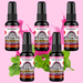 Peppermint Air Freshener Bundle (5 Pack) - BluntPower Air Freshener