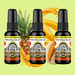 Pineapple Melon Air Freshener Bundle (3 Pack) - BluntPower Air Freshener