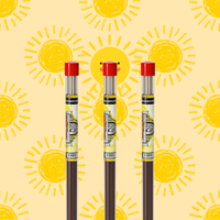 Sunshine Long Incense Sticks - BluntPower Air Freshener