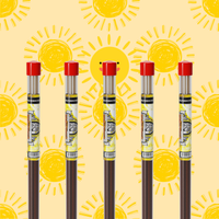 Sunshine Long Incense Sticks - BluntPower Air Freshener