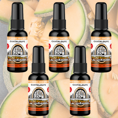 Cantaloupe Long Lasting Spray Air Freshener Bundle (5 Pack) - BluntPower Air Freshener