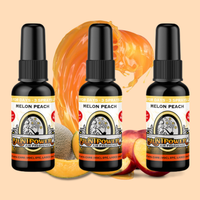 Melon Peach Air Freshener Bundle (3 Pack) - BluntPower Air Freshener
