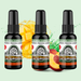 Mango Peach Green Air Freshener Bundle (3 Pack) - BluntPower Air Freshener