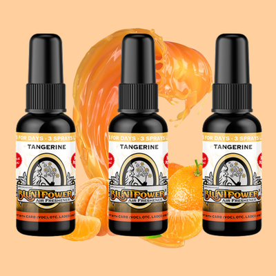 Tangerine Air Freshener Bundle (3 Pack) - BluntPower Air Freshener