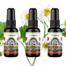 Ultimate Air Freshener Bundle (3 Pack) - BluntPower Air Freshener
