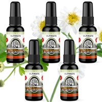 Ultimate Air Freshener Bundle (5 Pack) - BluntPower Air Freshener