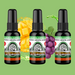 Mango Grape Green Air Freshener Bundle (3 Pack) - BluntPower Air Freshener