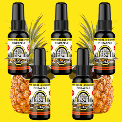 Pineapple Long Lasting Air Freshener Spray