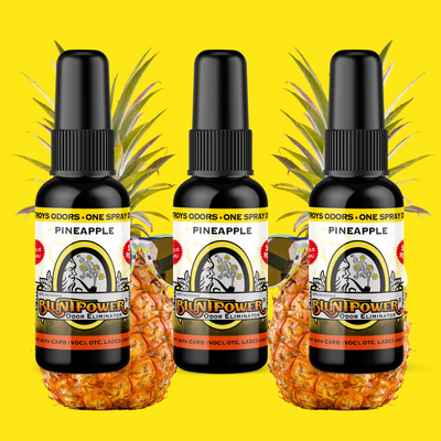 Pineapple Long Lasting Air Freshener Spray