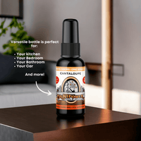 Cantaloupe Long Lasting Air Freshener Spray - BluntPower Air Freshener