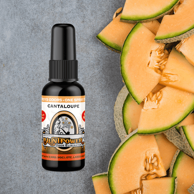 Cantaloupe Long Lasting Air Freshener Spray - BluntPower Air Freshener