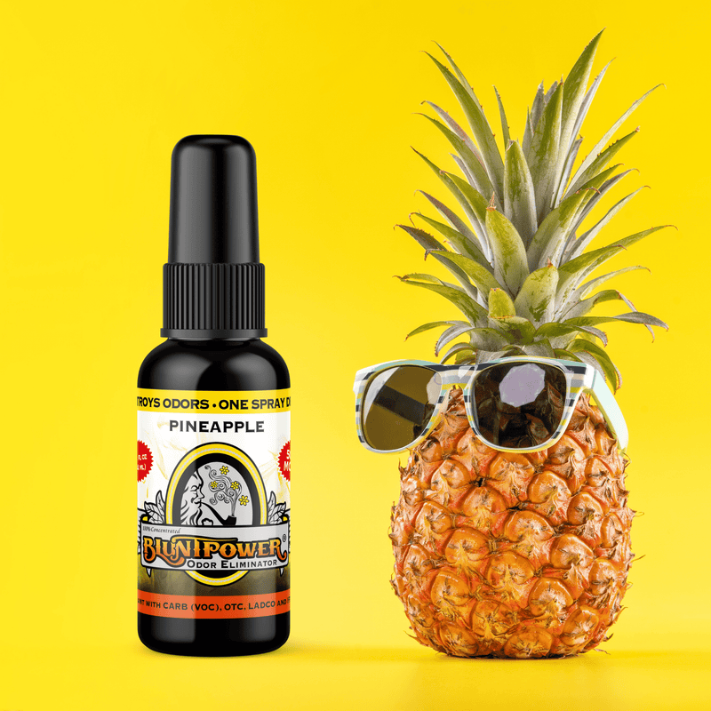 Pineapple Long Lasting Air Freshener Spray