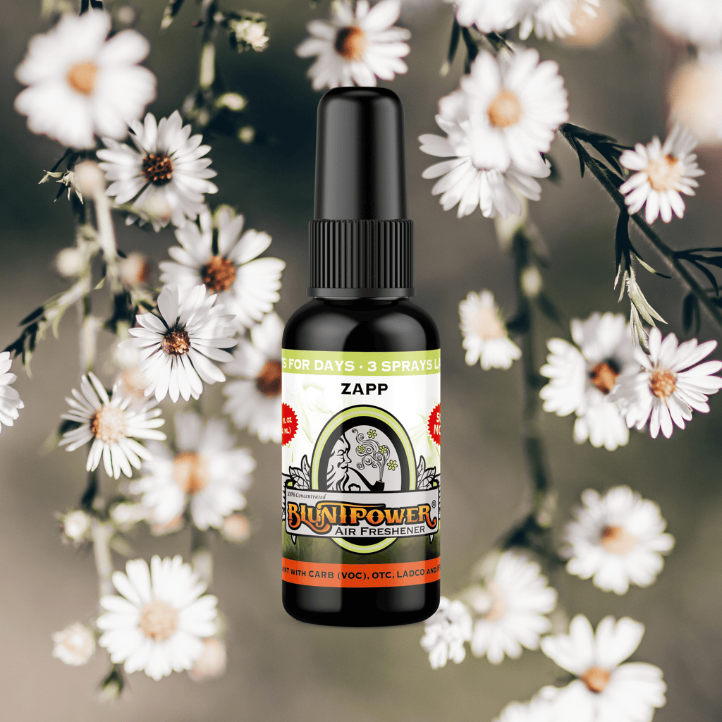 Zapp Air Freshener Spray – BluntPower Air Freshener