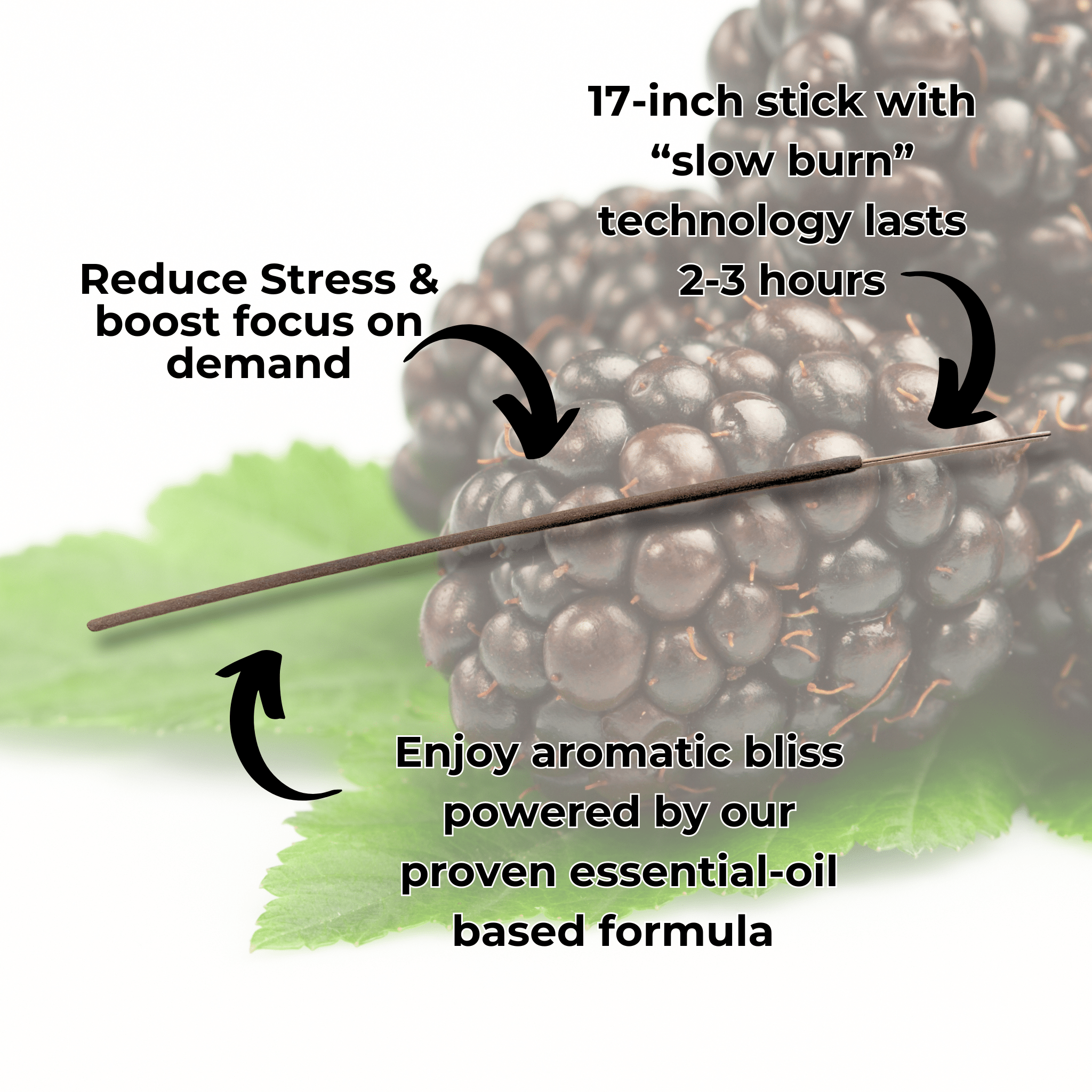 Dewberry long incense sticks fanned out showing 17-inch black currant scented sticks