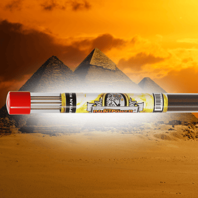 Egyptian Musk Long Incense Sticks - BluntPower Air Freshener