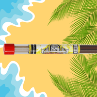 Summer Shower Long Incense Sticks - BluntPower Air Freshener