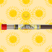 Sunshine Long Incense Sticks - BluntPower Air Freshener