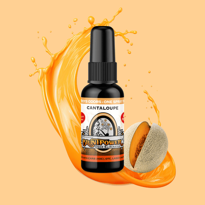 Cantaloupe Odor Eliminator Spray - BluntPower Air Freshener