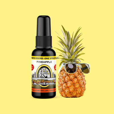 Pineapple Odor Eliminator Spray - BluntPower Air Freshener