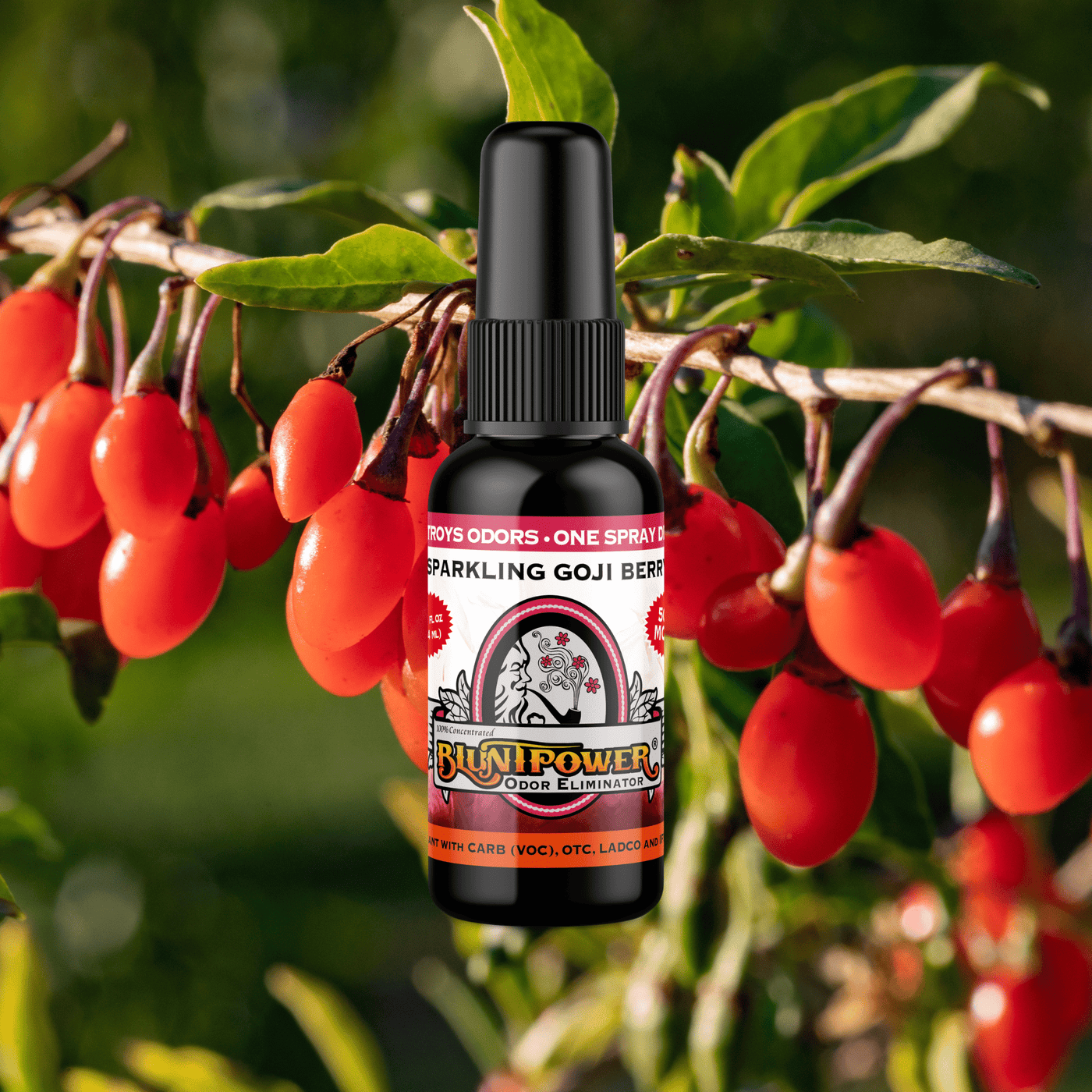 Sparkling Goji Berry Odor Eliminator Spray - BluntPower Air Freshener