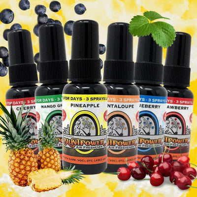 "Fruity Scent Lover's" Fragrance Set - BluntPower Air Freshener